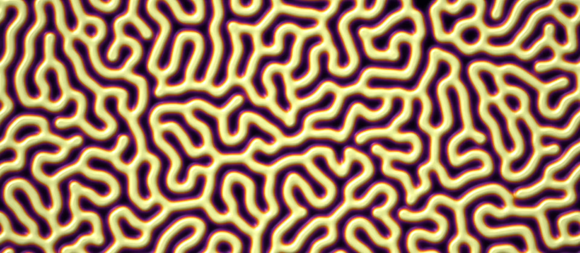 A reaction–diffusion pattern